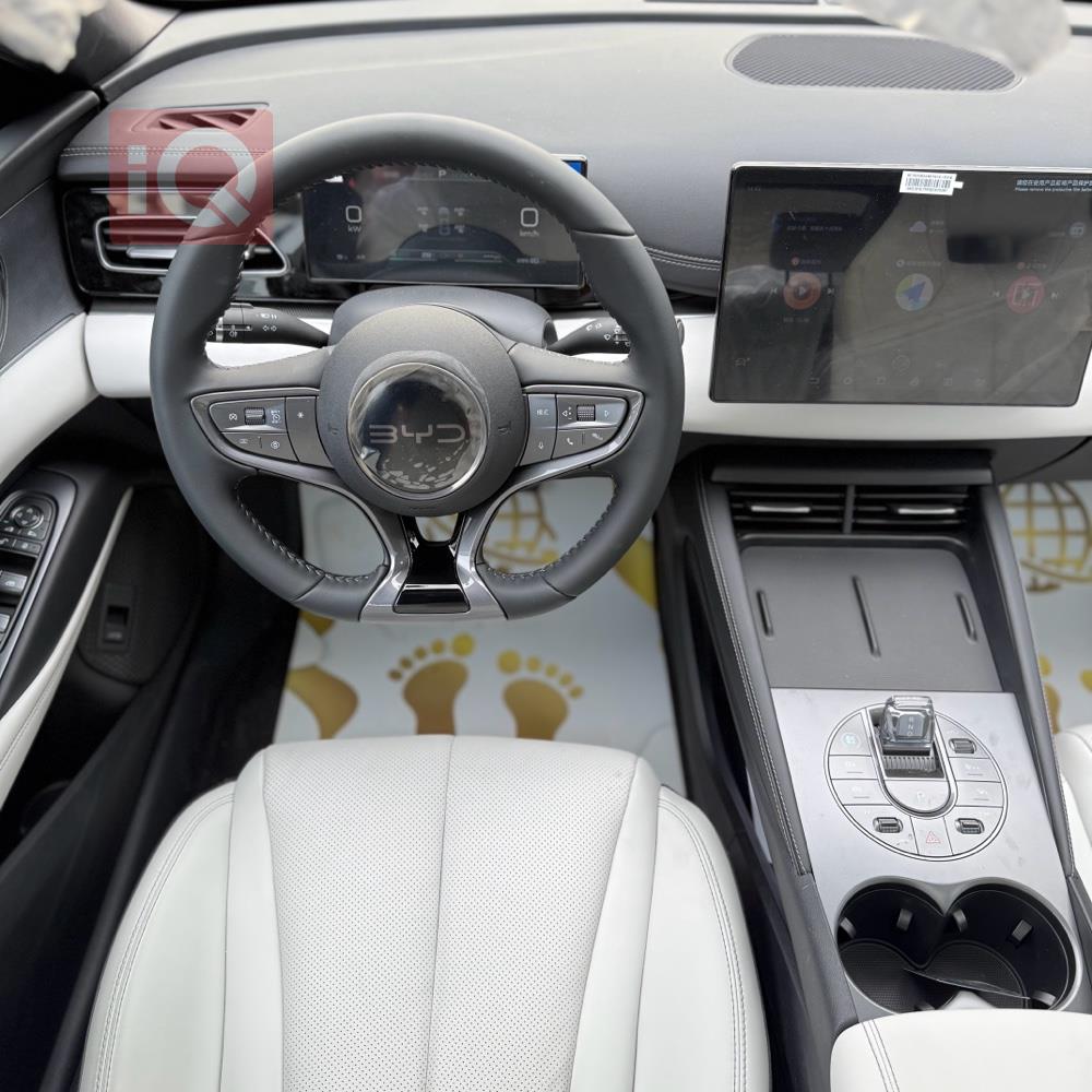 بی وای دی سيل 06 DM-i